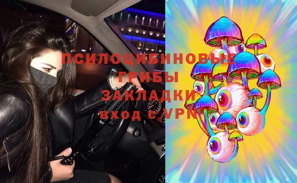 дживик Богданович