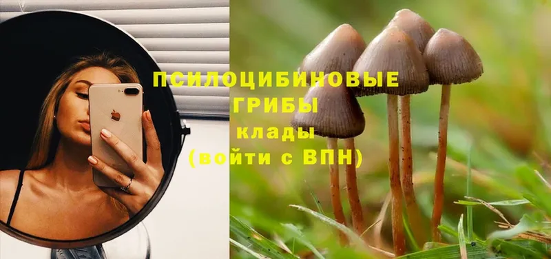 Галлюциногенные грибы GOLDEN TEACHER  omg ссылка  Харовск 